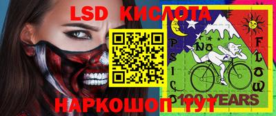 стаф Будённовск