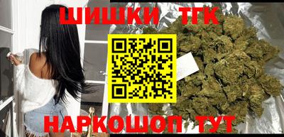 стаф Будённовск