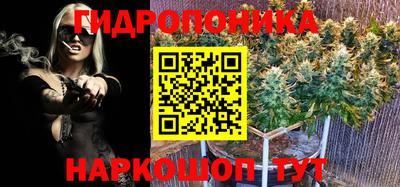 дмт Бузулук