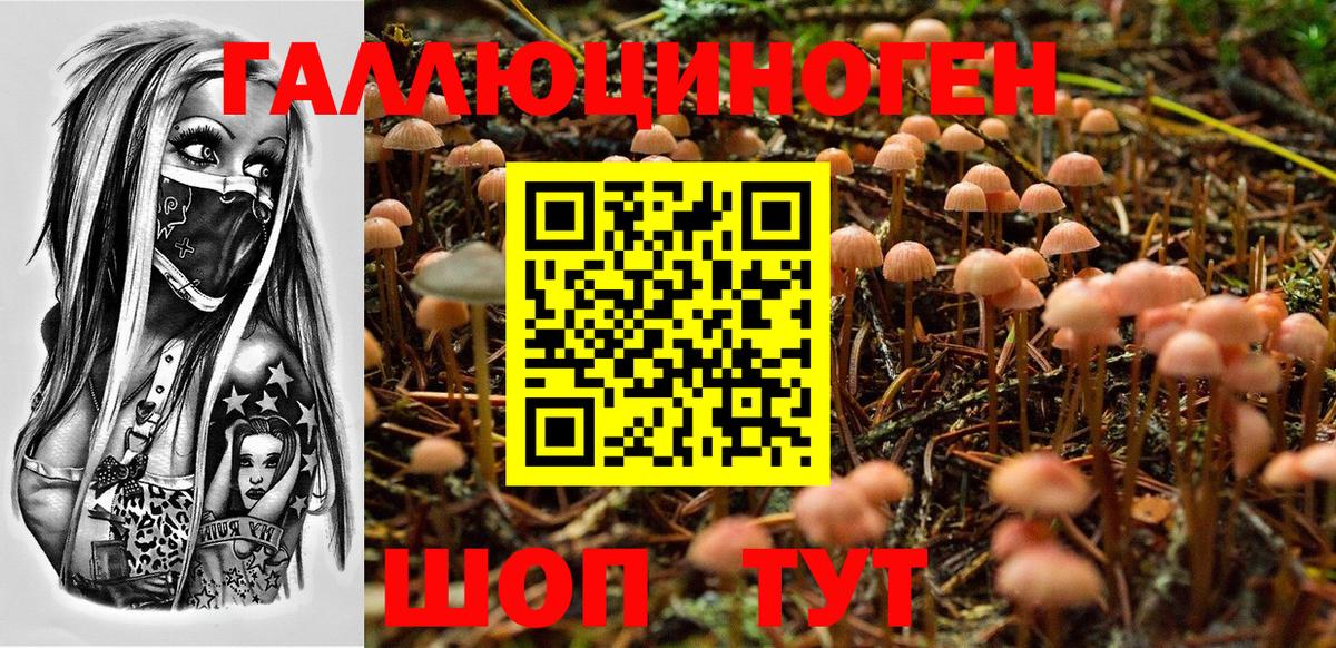 продажа наркотиков  Вход с VPN  Липецк  Псилоцибиновые грибы Psilocybe 